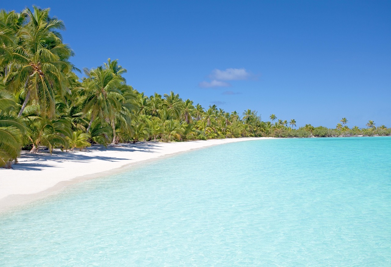 beach, island, ocean, sea, seascape, seashore, palm trees, water, paradise, tropical, nature, tropical island, sand, sandy beach, white sand