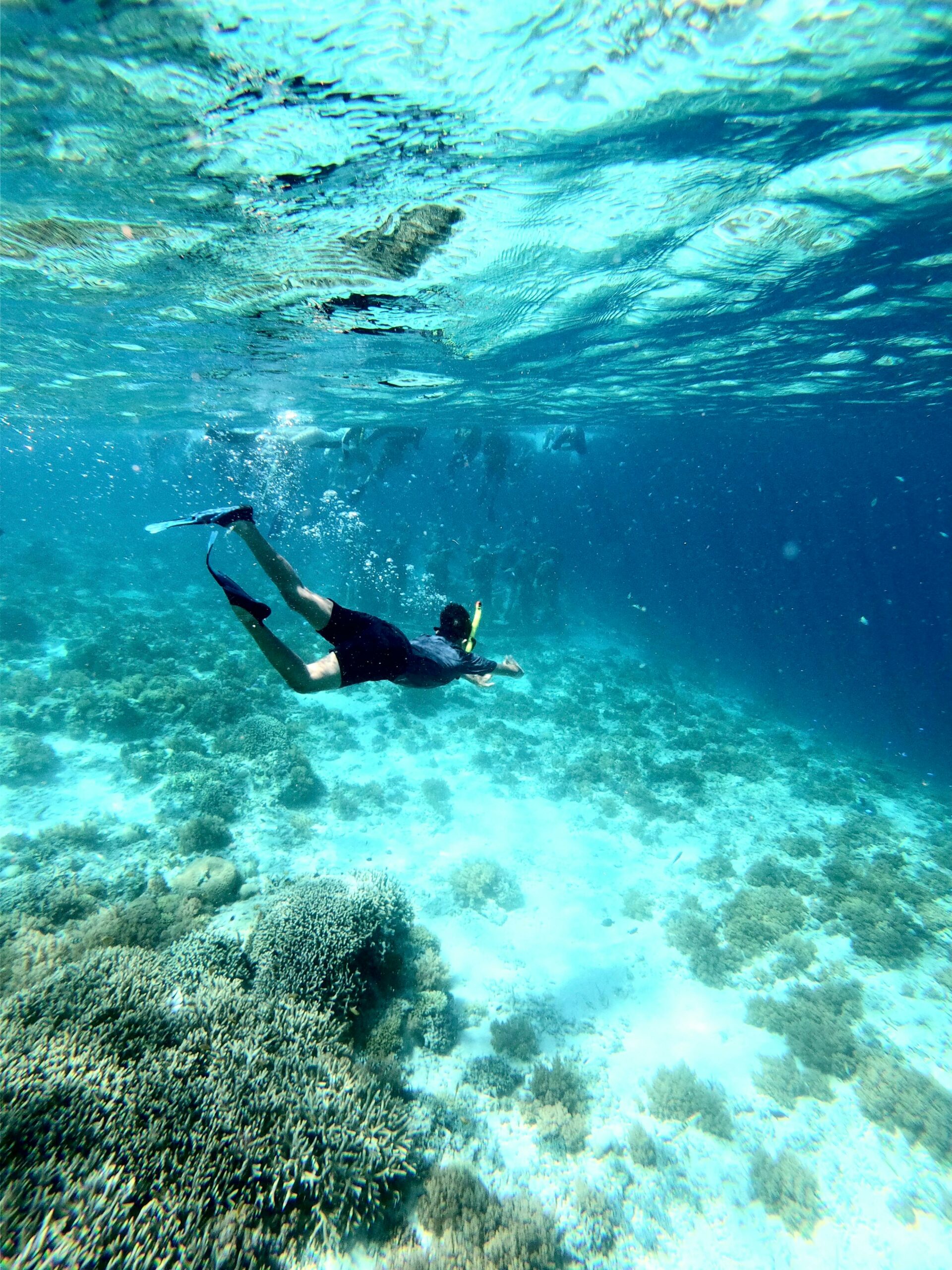 Îles Gili et snorkeling à Lombok